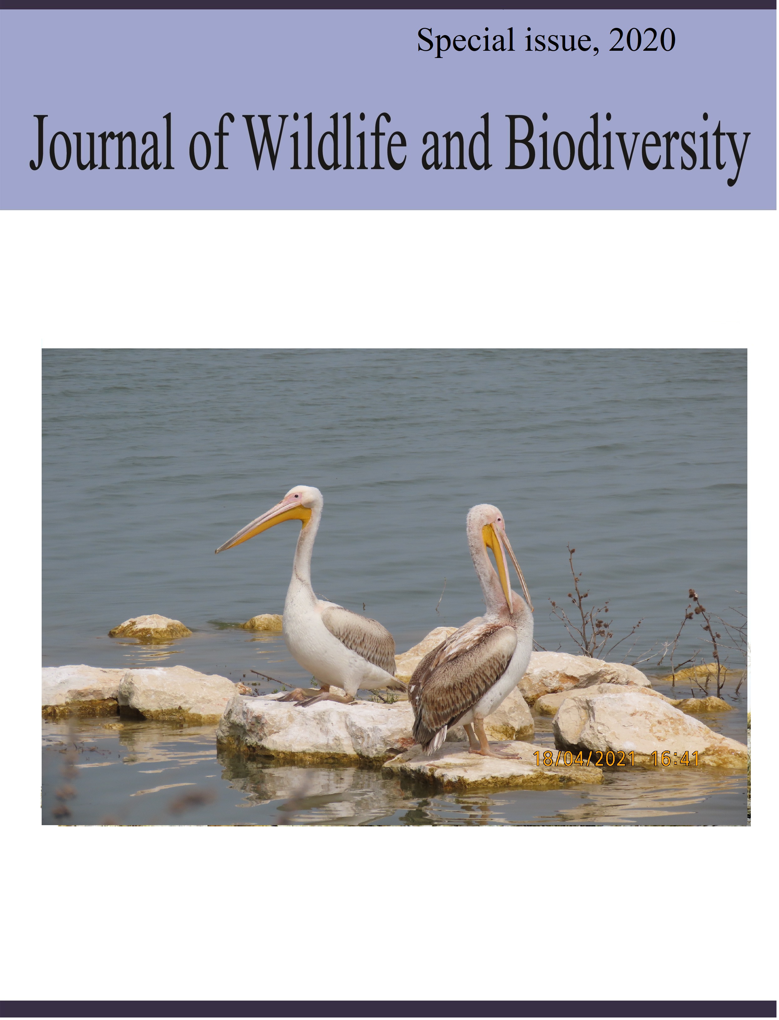 					View 2020: Special issue -Journal of Wildlife and Biodiversity
				