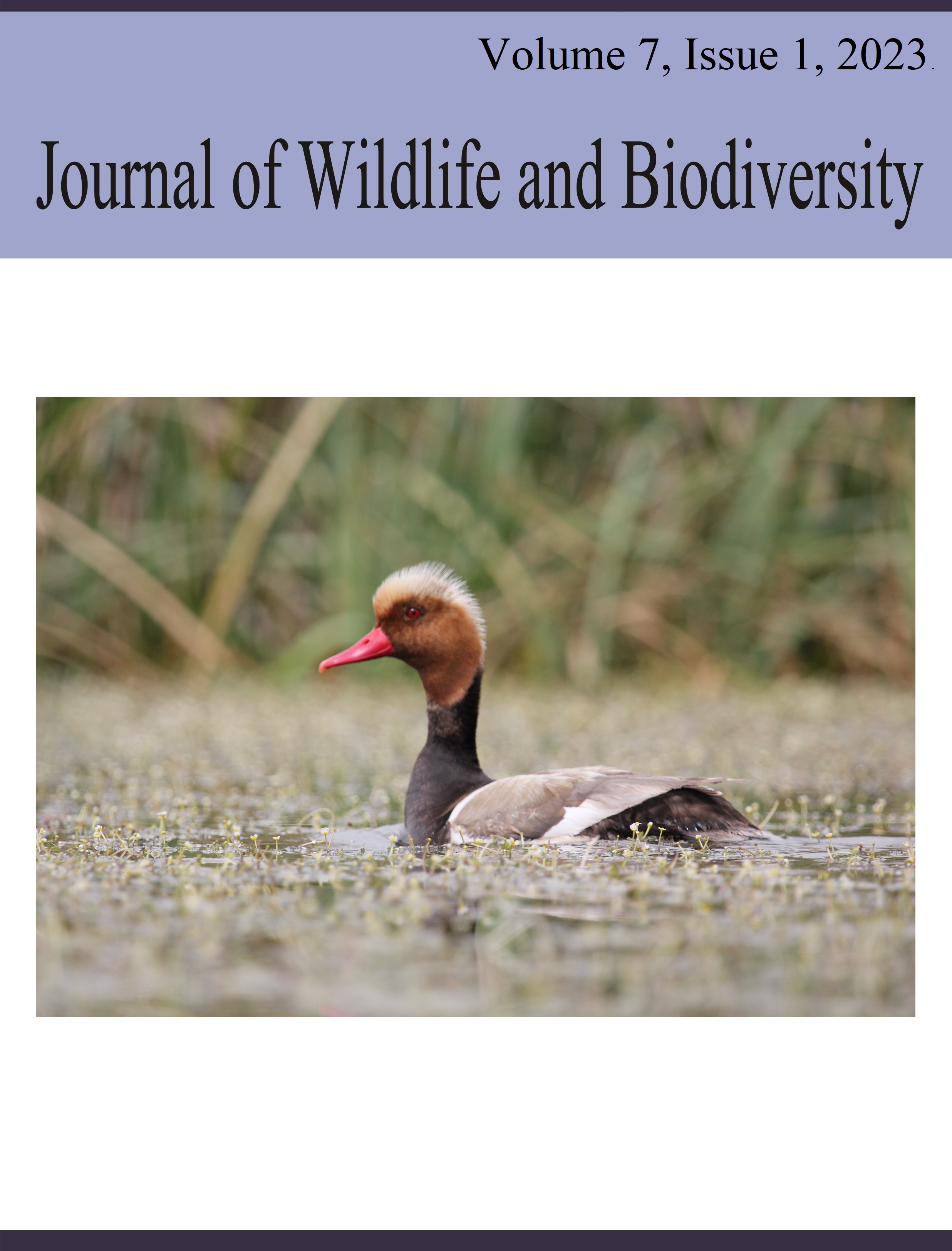 					View Vol. 7 No. 1 (2023): Journal of Wildlife and Biodiversity
				