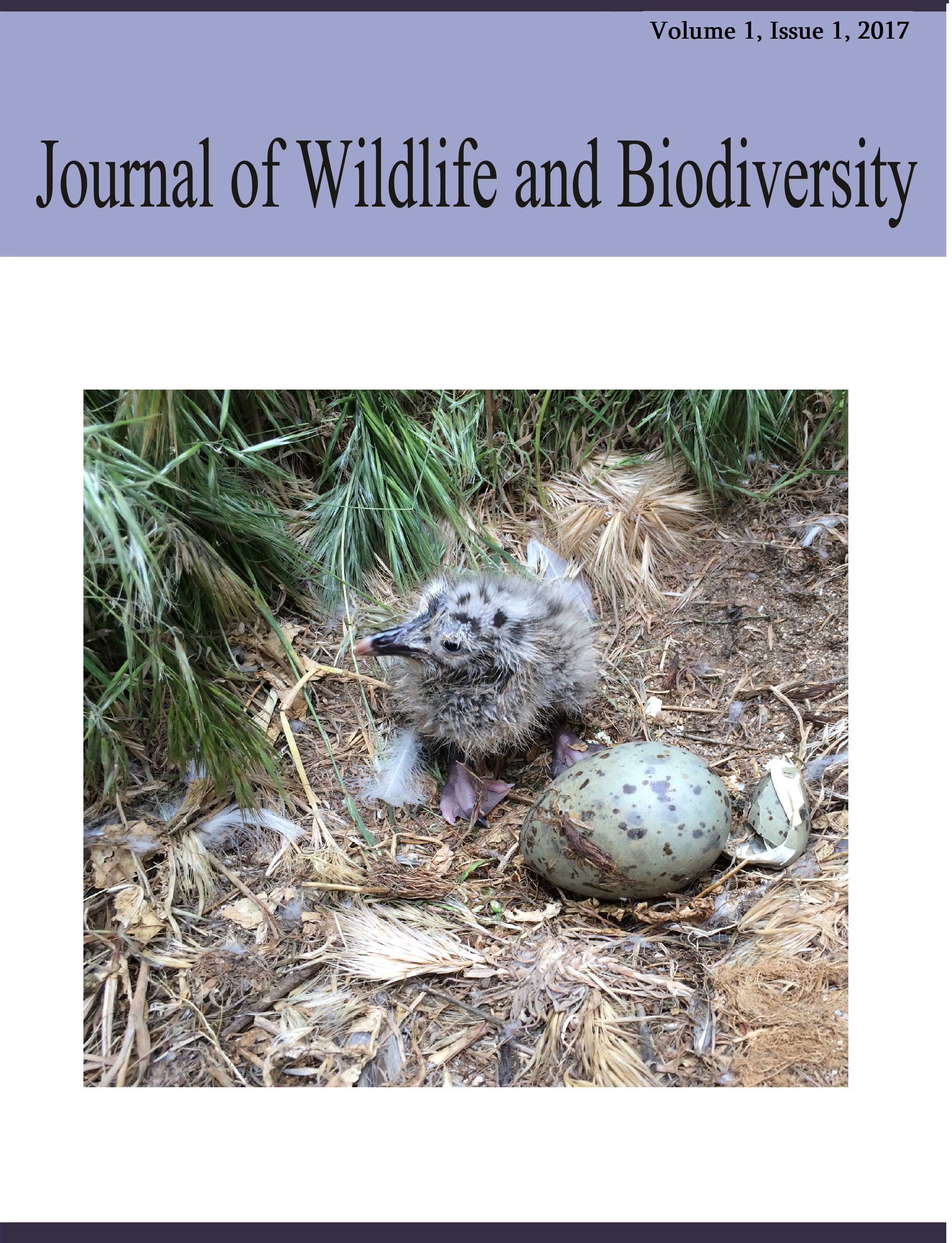 					View Vol. 1 No. 1 (2017): Journal of Wildlife and Biodiversity
				
