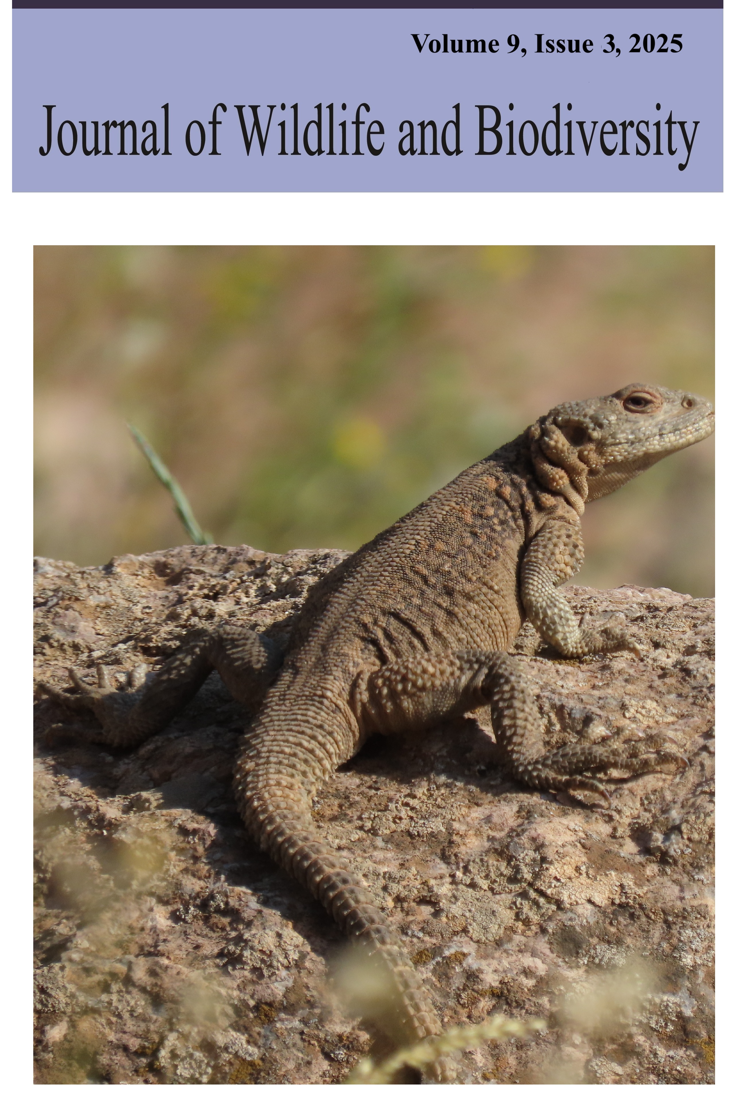 					View Vol. 9 No. 3 (2025): Journal of Wildlife and Biodiversity
				